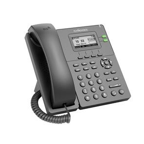 Economic Desktop IP Phone 100Mbps Ethernet PoE WiFi